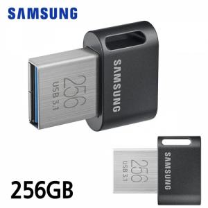 삼성전자 FIT Plus USB 3.1 Flash Drive(MUF-AB)256GB