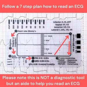 휴대용 투명 눈금자 측정 도구 Ecg 관측용 7 단계 체중계 해독용