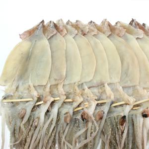 반건조오징어 10마리 (약1.1kg) 무료배송 피데기 국내 동해안산 쪽빛누리