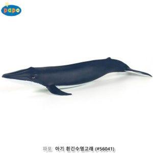 파포 (모형완구) 아기 흰긴수염고래 (56041)교육용 장난감 동물 학습 학습용