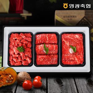 [롯데백화점]보섭이네푸드(식품) 1등급 영광축협 보리애 한우 실속정육세트 3호 1.5kg