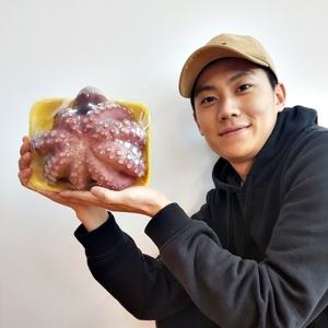 국내산 자숙 문어 1마리 자연산 돌문어 제수용 (자숙후 1.5kg 내외)