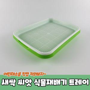 새싹 트레이 씨앗 식물재배기 새싹보리키우기 모종판 새싹재배기 위블센