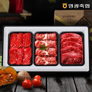 [롯데백화점]보섭이네푸드(식품) 1등급 영광축협 보리애 한우 구이세트 2호 1.8kg