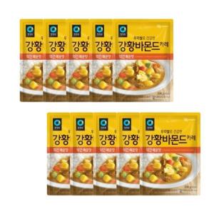 청정원 강황 바몬드 카레 분말 약간매운맛 100g 10개