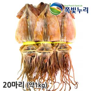 건오징어 20마리(약1kg) 무료배송 오징어 마른오징어 동해안發 쪽빛누리