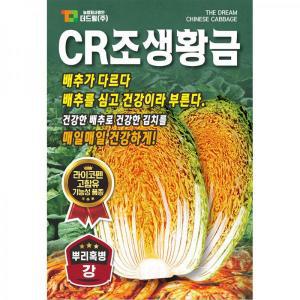 더드림 CR조생황금김장 배추씨앗 배추종자 뿌리혹병에 강한 CR계품종 배추