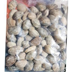 피바지락 600g x26 식자재 업소용 식재료 식당용 대용량 단체 급식용 조개