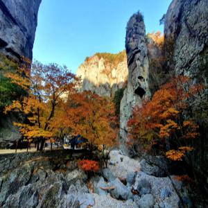 [청송,안동]과거로 떠나는 이색여행 1박2일(주왕산,주산지,월영교,야경투어,중앙시장,맘모스빵집,하회장터,하회마을,부용대)