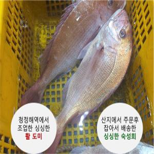 국내산 참돔회 도미 필렛 숙성회 2kg 3kg