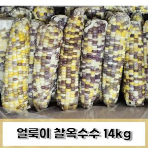 얼룩이옥수수 14kg