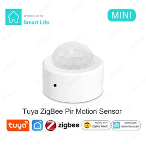 Tuya ZigBee Pir 모션 센서, 스마트 인체 센서, 적외선 감지기, 보안 도난 경보 센서, 홈 어시스턴트로 작동