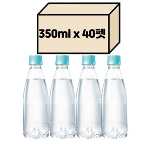 빅토리아 플레인 무라벨 350ml x 40pet