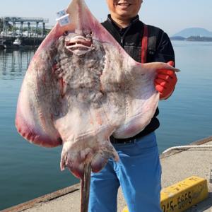 생생수산 흑산도 목포 홍어 국산 산지직송 홍어애 삭힌 정품 주문 즉시 작업되는 국내산 명품 홍어