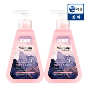 2080 핑크솔트 펌핑치약 325g x 2개