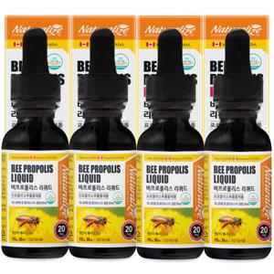 캐나다 비 프로폴리스 리퀴드 30ml 4병 액상 원액 스포이드 PROPOLIS 플라보노이드 업그레이드