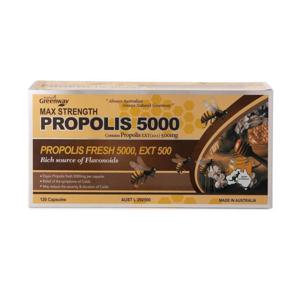 네이쳐스 그린웨이 프로폴리스 5000 120캡슐 (호주) Natures Greenway propolis 5000