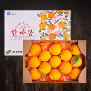 [푸르젠] 한라봉 선물세트 3kg(13~17과)