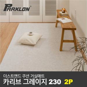 [파크론] 2P 더스트앤드 쿠션 거실매트 카리브그레이지 (210)