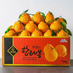 제주 한라봉 9kg (41-50과) 중과 (벌크)