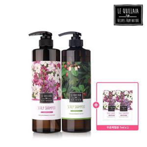 르퀼라야 스칼프 샴푸 810ml 2통