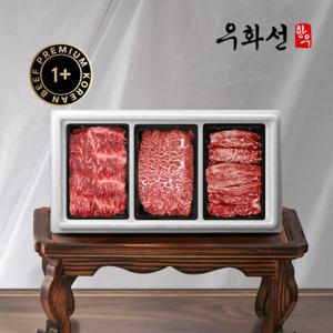 숙성한우 1+등급 특수부위 (업진살+부채살+갈비살/총 1kg)