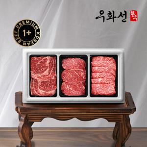 숙성한우 1+등급 꽃등심 구이9호(꽃등심+채끝+살치살/총1.2kg)