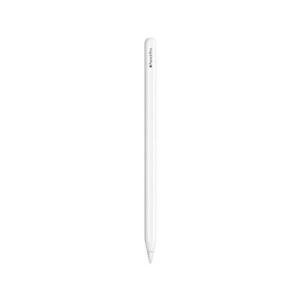 Apple 애플펜슬 프로 - [MX2D3KH/A]