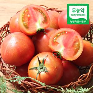 전남 장흥 이도영님의 무농약 완숙토마토 3kg (3~4번)