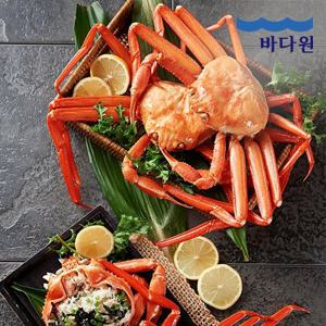 [바다원] 구룡포 연지 홍게 특급형 3kg(10-12미)내외