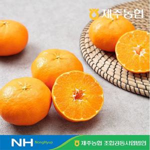 [제주농협]제주올레 레드향 4kg(16과~25과)