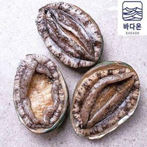 [바다온]완도활전복 5-6미 1kg(마리당165g내외) [산소팩, 무료배송]