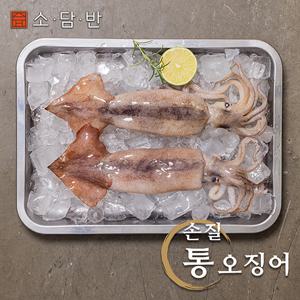 [소담반] 손질 통오징어 260g X 7팩 (총14미)