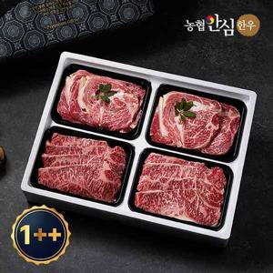 [농협안심한우] 믿음 한우 구이선물세트 1호 1.2kg 1++등급(7이상)(등심2팩+채끝2팩,각300g씩)