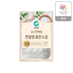 청정원 천일염 굵은소금 5kg