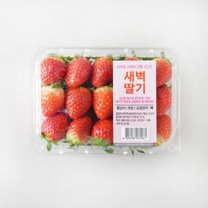 새벽딸기 500G(팩)