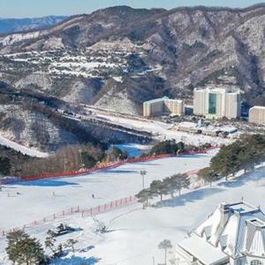 [강원 홍천] 비발디파크 오션월드