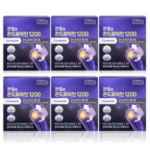 주영엔에스 관절엔 콘드로이친 1200 900mg x 60정 x 6박스 WY