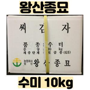 씨감자 ( 수미 / 두백 / 단오 )  10kg - 왕산종묘 정품 - 품질보증서 보유 - 강원도 채종 - 2025년 파종용 - 택배비 포함