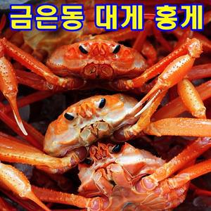 상품평 9천건 돌파 기념 생물 홍게 자숙(찐) 찜 러시아 박달 대게/ 킹크랩 /금은동 생일 선물