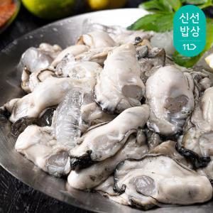 통영 생굴 1kg 중대 굴 햇굴 49번경매인 통영 산지