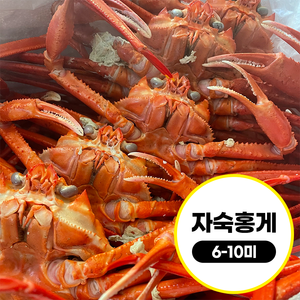 [믿고 먹는 수율보장제] 깊은바다 속초 수율보장 자숙 홍게 2.5kg