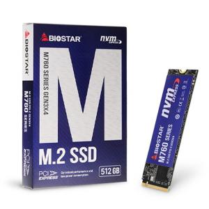 BIOSTAR M760 M.2 NVMe (512GB) SSD