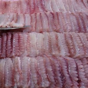흑산도 생활있지 생선회 생홍어 홍어 500g 홍어회 삭힌홍어