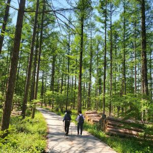 [강원] 리무진버스 - 영월 산꼬라데이길 힐링 트래킹 당일