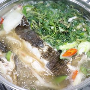 [통영수산물시장] 냉동 봄 도다리쑥국 (손질도다리1~3미 800g+쑥50g)