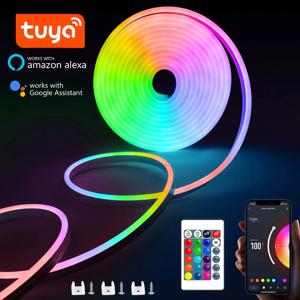 RGB 네온 LED 스트립 1/2/3/5M IP65 방수 DIY USB 네온 스트립 Tuya App 원격 제어 홈 장식 조명에 대 한 유연한 리본