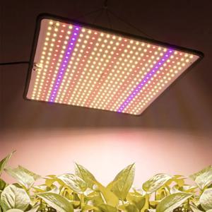 성장 텐트 꽃 양자 보드 Led 삼성 성장 빛 전체 스펙트럼 램프 식물 실내 성장 빛 1200W
