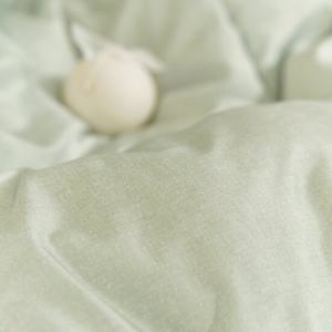 [파르페by알레르망] 로그 알러지케어 다운필 차렵이불패드세트 K
