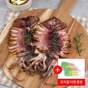 [한정수량] 쫄깃촉촉 피데기 반건조오징어 10미(700g~800g)